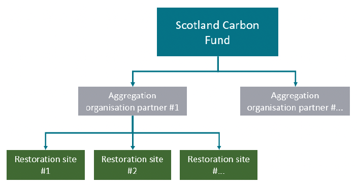 aggregation facilities would enable the Scotland Carbon Fund (SCF) to offer financing to several small sized projects at once, thereby reducing transaction costs. Aggregation could be facilitated by multiple aggregation partner organisations working at sub-national scales.