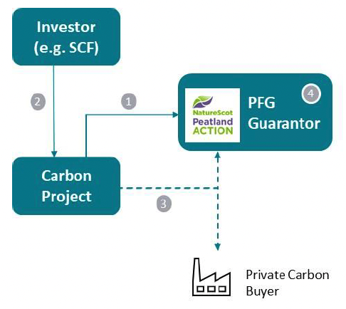 Schematic representation of how the proposed Price Floor Guarantee (PFG) mechanism works in the context of private investment in peatland restoration.   