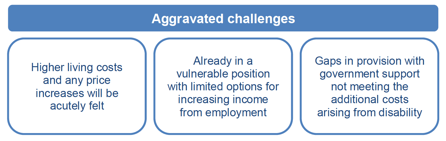 The aggravated challenges for households with a disabled adult or child includes: higher living costs and any prices will be acutely felt; already in a vulnerable position with limited options for increasing income from employment; and, gaps in provision with government support not meeting the additional costs arising from disability.
