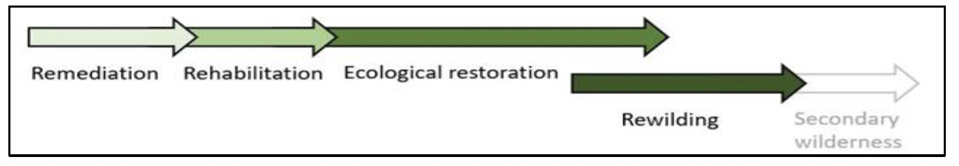 Figure showing scale from remediation to rehabilitation, to ecological restoration, to rewilding, to secondary wilderness.