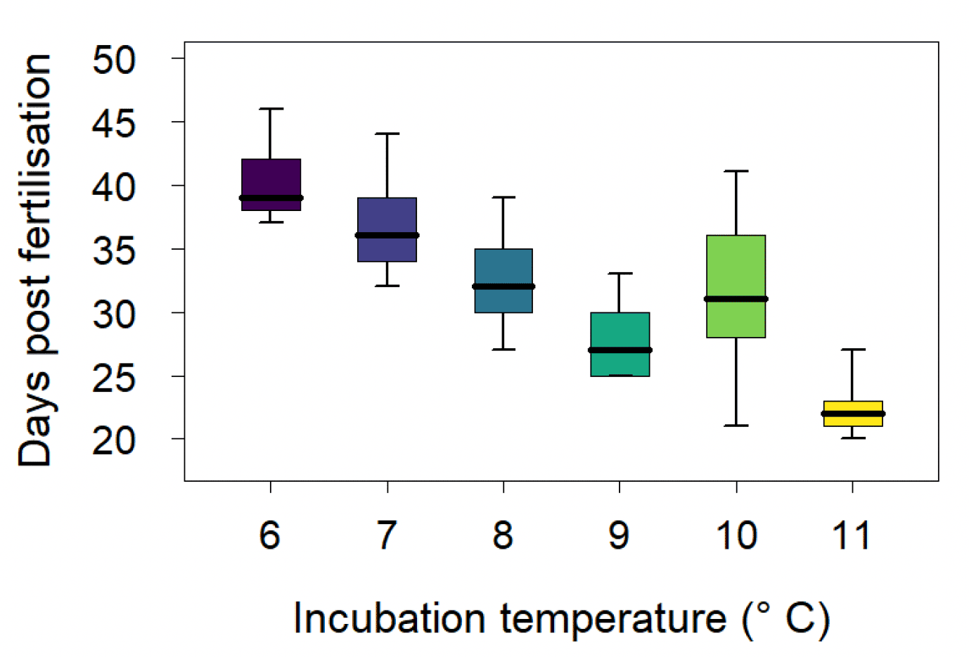 A graph of boxplots showing the effect of incubation temperature (ranging from 6 to 11 degrees centigrade) on egg development time (ranging from 20 to 50 days post fertilisation). There is a clear downward trend, indicating that increasing water temperature during the incubation period results in shorter egg development times.