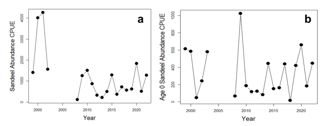 Two line plots side by side showing sandeel CPUE over time from 1999 to 2022. The left hand plot (4a) shows the sandeel abundance index from age 0 to age 2 sandeels, (ranging from 0 to 4000) peaked in 2000 and 2001, then lowered and remained variable from 2008 to 2022. The right hand plot (4b) shows the age 0 abundance index (ranging from 0 to 1000) is highly variable without any trend, with peaks in 1999, 2000, 2009 and 2020.