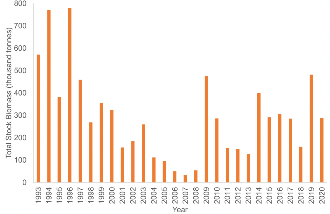 A bar chart showing annual estimate sandeel total stock biomass from 1993-2020. Estimated biomass fluctuated among years but was generally lowest during 2004-2008 and highest in the 1990s.