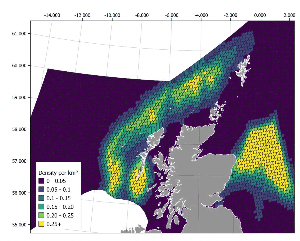 A map of the Scotland showing predicted white-beaked dolphin densities. Densities are highest in the north sea region immediately east of Aberdeenshire and Moray, and along frontal features west of the outer Hebrides.