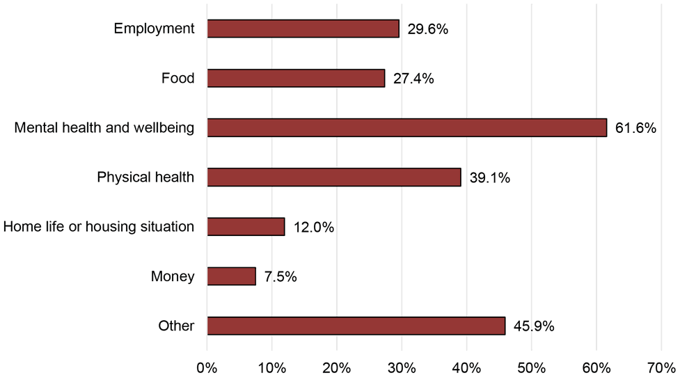 the types of services that were provided by organisations in receipt of funding, using the monitoring forms data. For example, it shows that 61.6% of responding organisations said that they provided mental health and wellbeing services.
