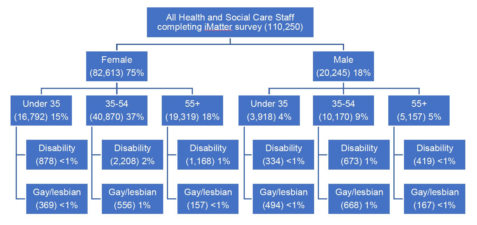 Comparison of the number of female and male health and social care staff broken down by age, disability and sexual orientation. Appendix 3 presents numbers in an accessible format. 