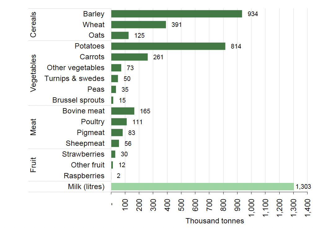 A bar chart with the quantity of agricultural output