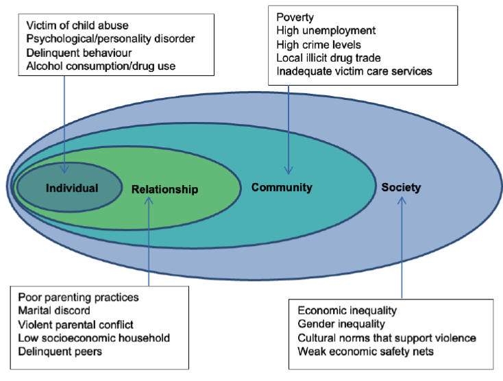 A diagram showing four nested rings, summarising individual, relationship, community and societal factors.