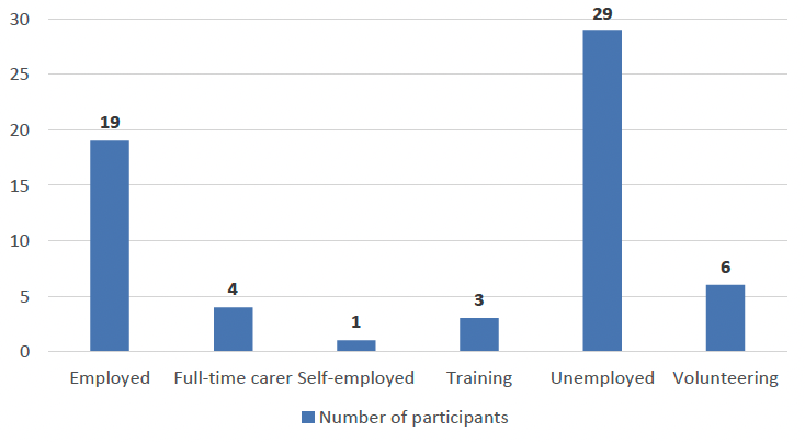 A bar chart summarising the employment status of lived experience participants: 19 people were employed, four were full-time carers, one was self-employed, three in training, 29 were unemployed and six were volunteering. 