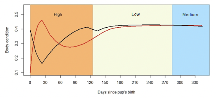 Line graph showing the relationship between Female Body condition and number of Days since pup's birth. As described in the text above.
