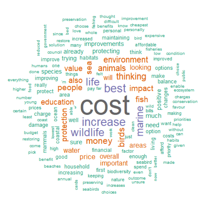 A wordcloud chart of the most common words used by respondents to describe what they were thinking about when completing the choice cards. The wordcloud shows that 'cost' was the most common word.