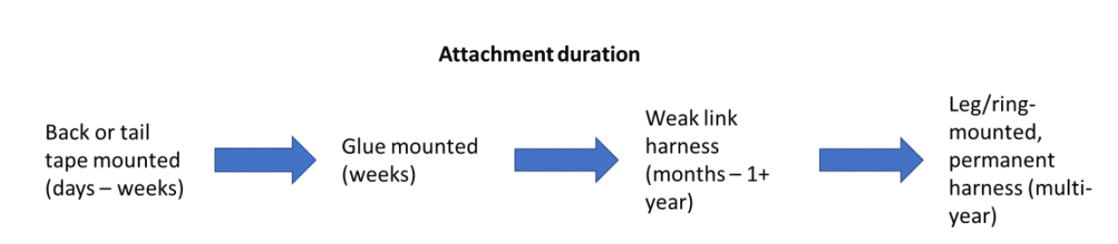 Change in duration for different tag attachment methodologies.