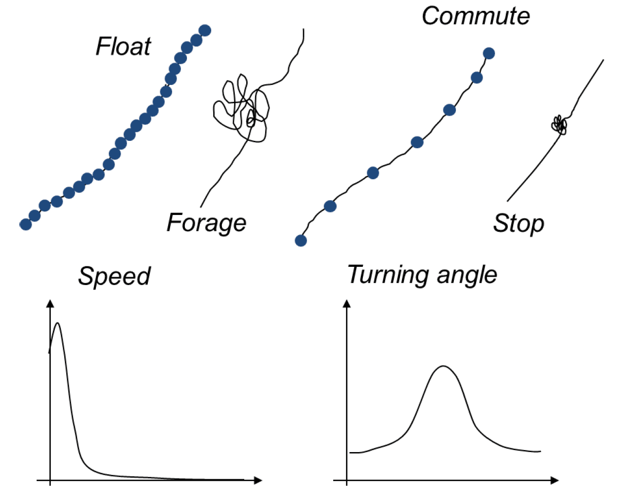 Illustration of how speed and turning angle are used to classify behaviour from GPS tracks.