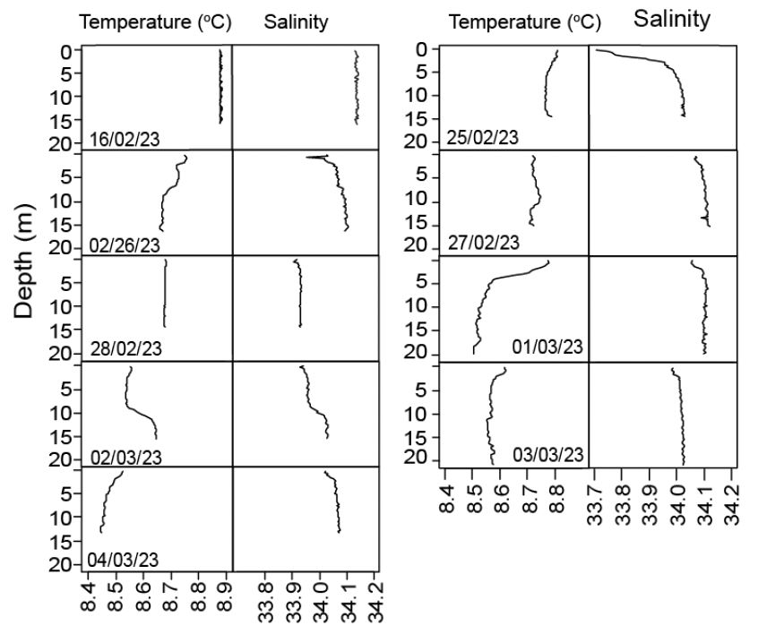Line plots of the water temperatures and salinities as recorded using the Castaway conductivity-temperature-depth instrument. Temperature profiles generally show small surface to depth differences of less than 0.2 degrees Celsius except on 1st of March when the difference was a little more pronounced. Salinity profiles showed slightly less saline water at the surface compared with depth, but only of 0.3 practical salinity units of less.