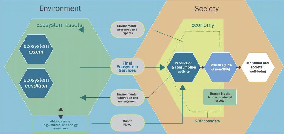 Diagram of the conceptual structure of the United Nations Systems of Environmental Economic Accounting, which provides an international framework for integrating economic and environmental data.