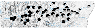 Map of the river Dee with pie charts showing the proportion of early (filled) and later (dashed) running fish in a sample of juveniles.