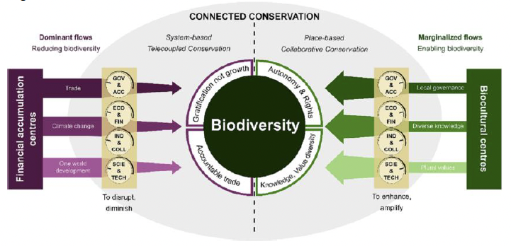 A diagram of connected conservation. With the finance and biocultural flows into biodiversity.