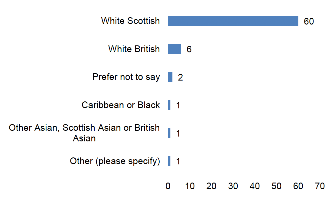 This figure presents the responses of 71 participants regarding their ethnic group. The data is illustrated using a bar chart