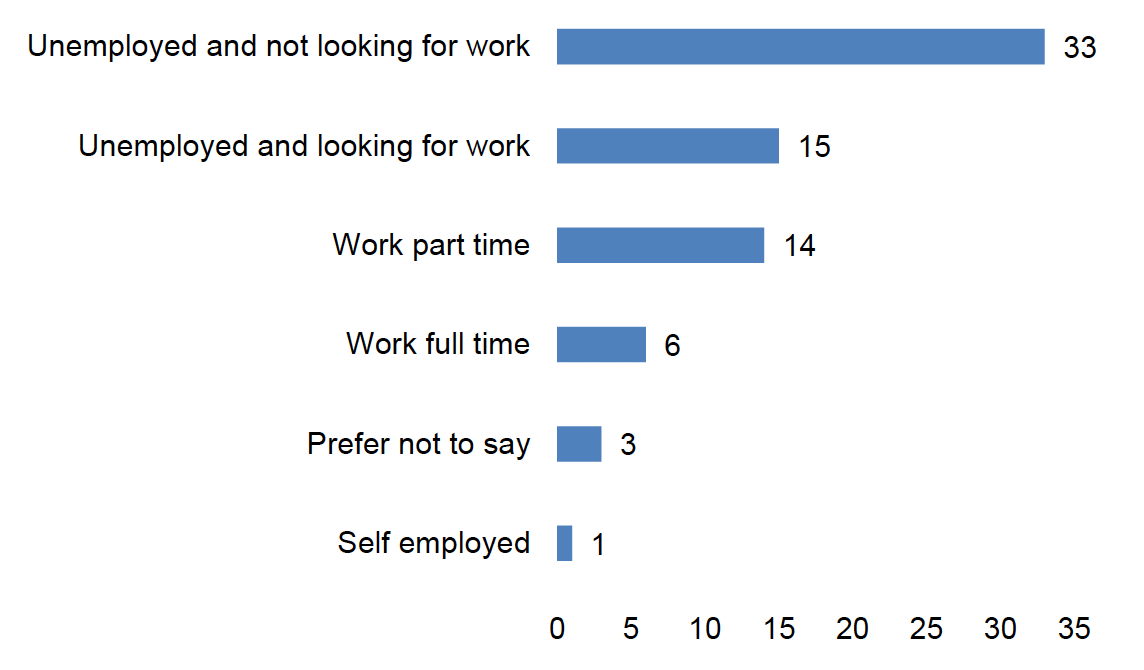 This figure presents the responses of 72 participants regarding their current employment status. The data is illustrated using a horizontal bar chart