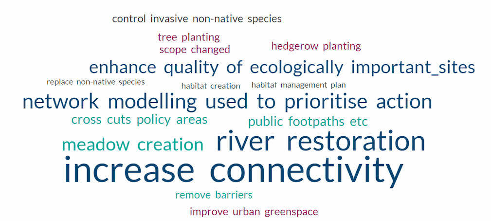 A word cloud summarising actions reported by local authorities undertaken to support Nature Networks. Font size reflects the frequency that a particular action was reported, with most frequent actions in the largest font - for example the words 'increase' and 'connectivity'.