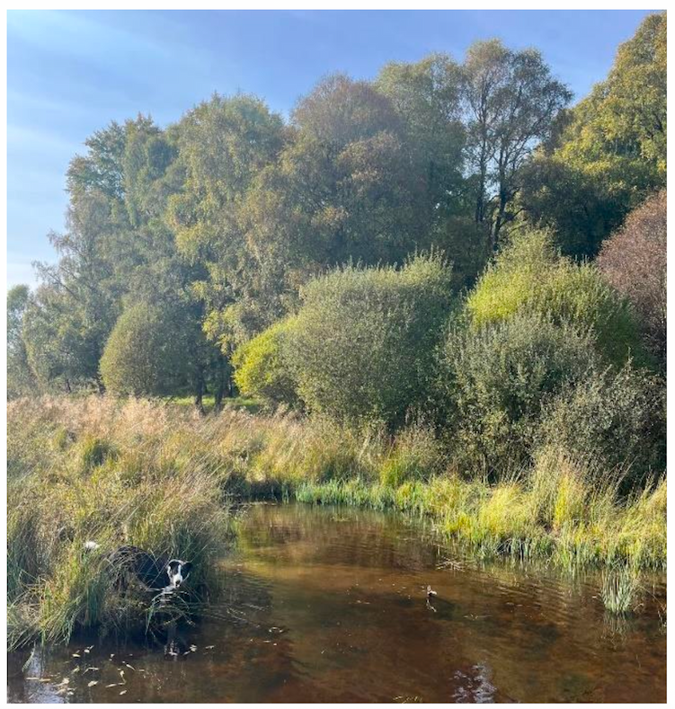 Photo of a new pond on South Clunes Farm in Highland