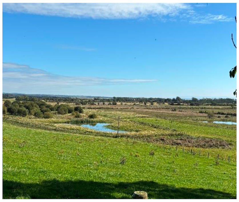 Photo of a new pond as part of the Link Caerlaverock project in Dumfries and Galloway