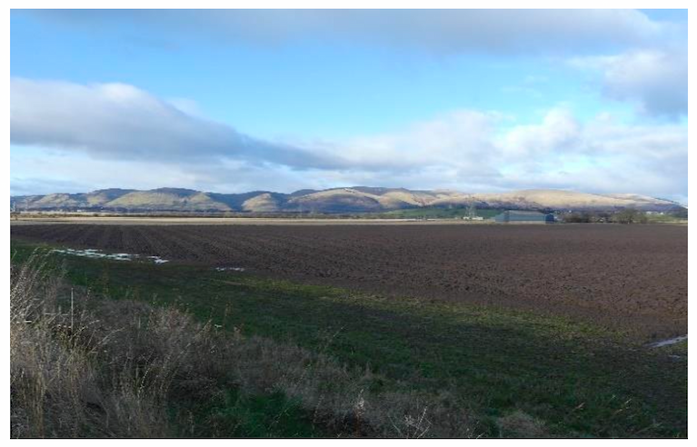 Photo of the project site at Inch of Ferryton, Clackmannanshire.