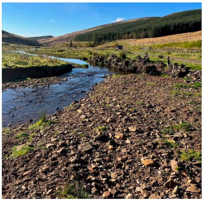 Photo of Quharity Burn in Angus, showing a river bank supported by wooden structures