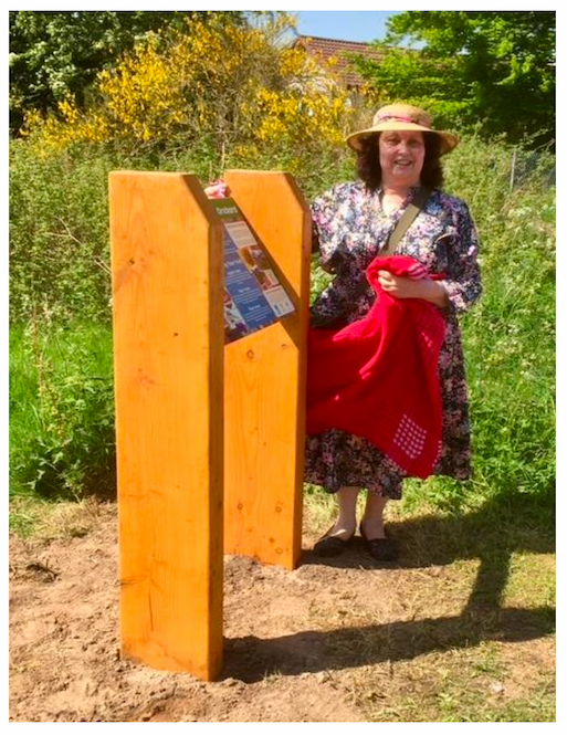 Photo of a volunteer unveiling a new information board as part of the Crook of Devon Community Orchard and Pollinator Project in Perth and Kinross.