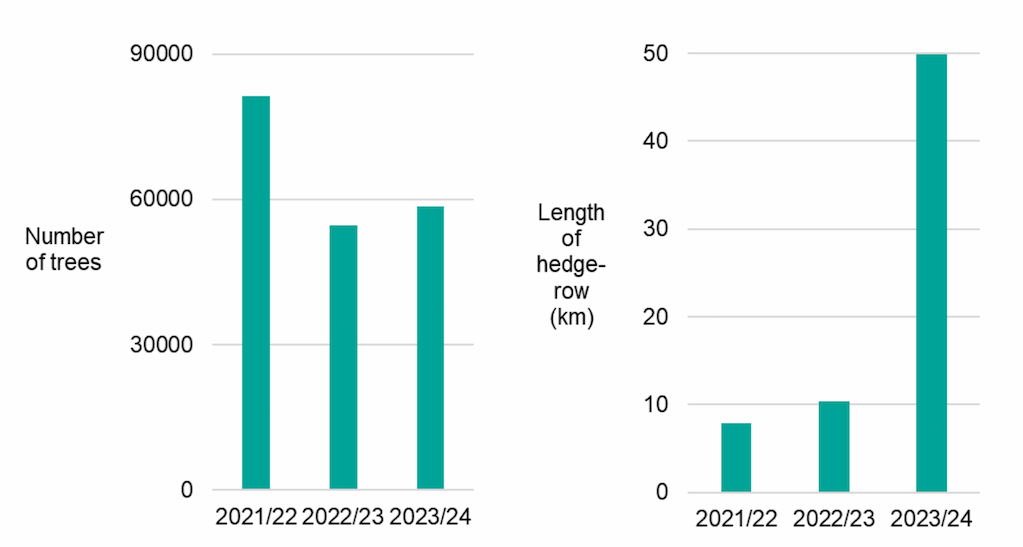 Bar chart showing the number of trees planted across the three years. 2021/22 had the highest figure recorded. Bar chart showing the length of new hedgerow created across the three years. 2023/24 had the highest figure recorded.