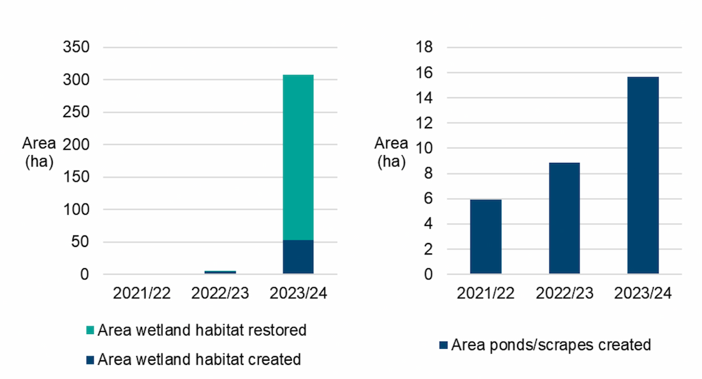 Stacked bar chart showing area size in hectares of wetland habitat restored or created across the three years, showing a large rise in 2023/24. Stacked bar chart showing area size in hectares of ponds and scrapes created across three years. Shows a rise from 6 hectares in 2021/22 to over 14 hectares in 2023/24.
