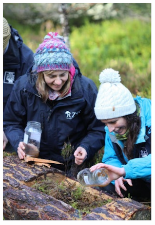 Image of the Royal Zoological Society Scotland releasing pine hoverfly larvae.