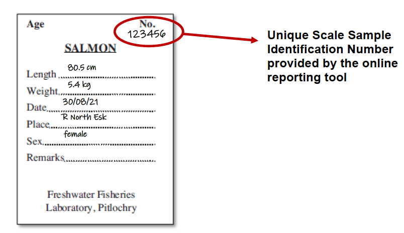 Picture of scale packets used to collect samples during the study highlighting the data to be collected.