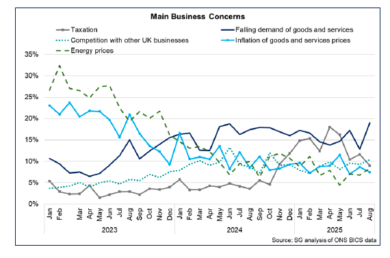 Line chart showing the highest shares of businesses reported falling demand for goods and services, and competition with UK businesses, as their main concerns for August 2025.
