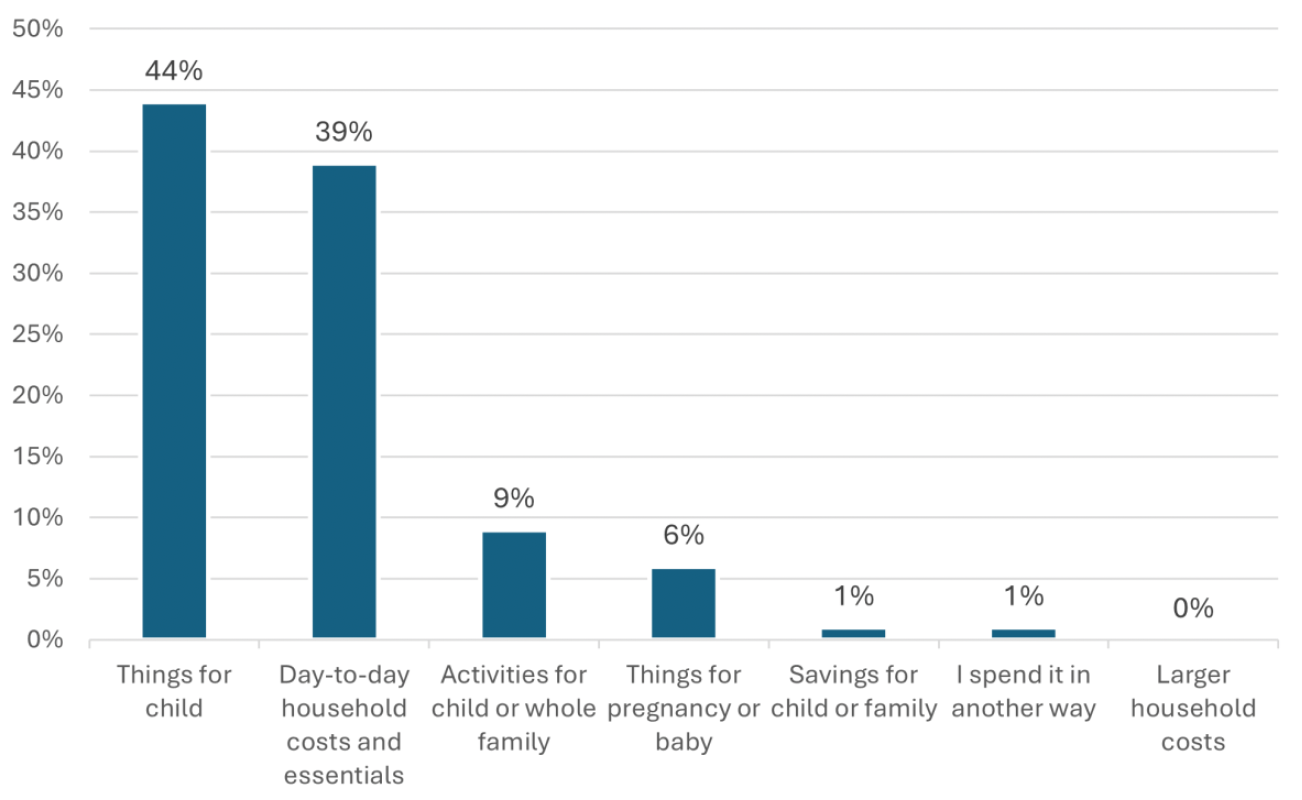 A bar chart showing what Scottish Child Payment recipients have spent the payments on the most. The most selected option was 'things for child'.