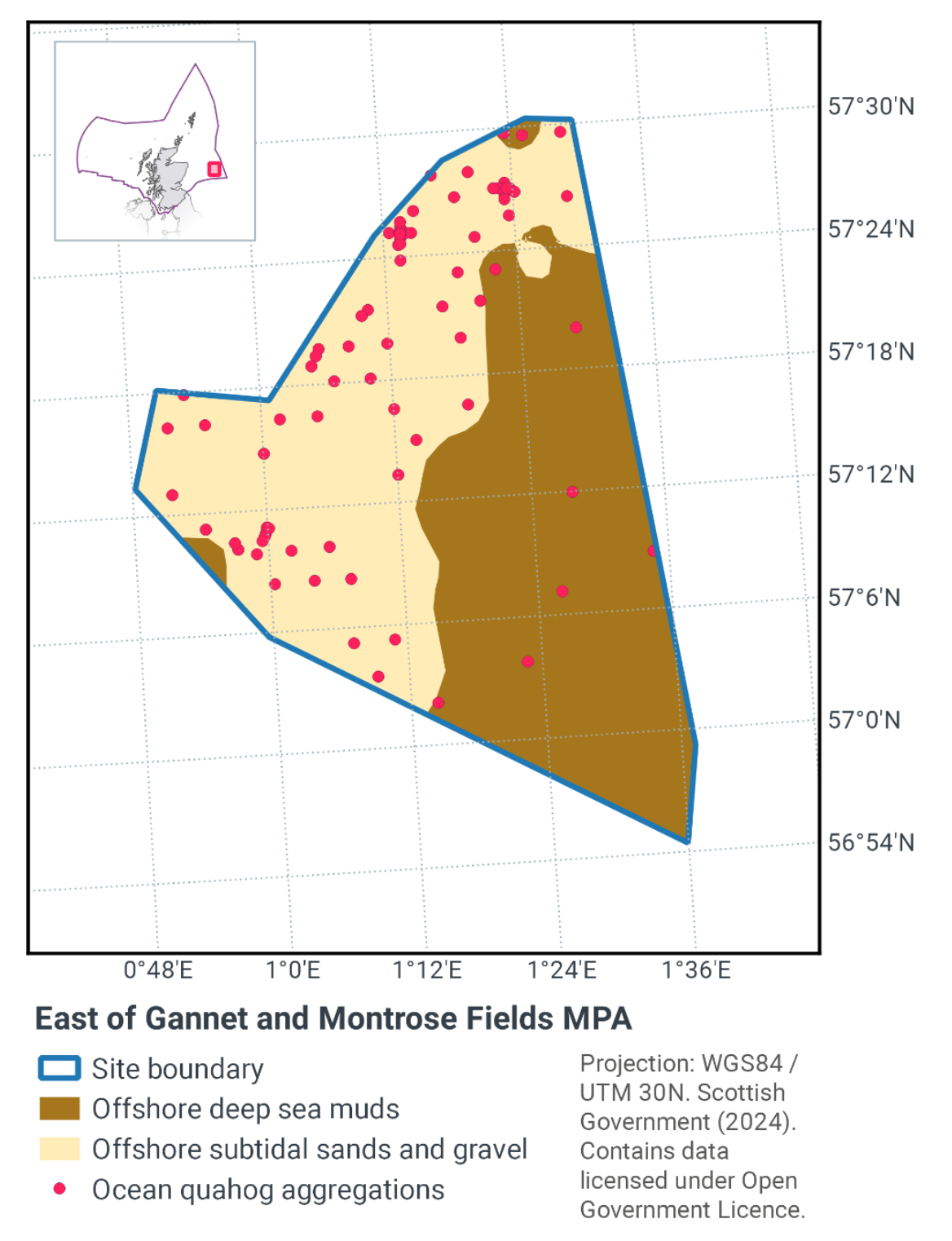 Map of East of Gannet and Montrose Fields MPA, east of Aberdeen. The MPA is a roughly triangular shape situated between 57°30N 0°48E and 56°54N 1°40E. The MPA is composed of offshore deep sea muds in the east and south, and offshore subtidal sands and gravel in the north and west. There are ocean quahog aggregations throughout the MPA, but they are most plentiful in the subtidal sands and gravels.
