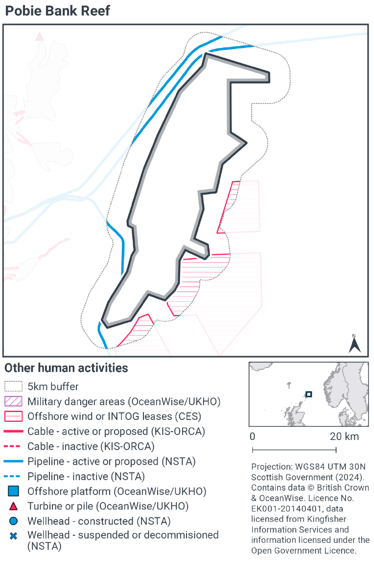 Map of Pobie Bank and its 5km buffer zone. three active pipelines approach the centre of the reef from the west, and diverge just before the 5km buffer zone to pass around the reef- two pass north and one passes south. Three offshore wind leases intersect with the 5km buffer zone, with the central one coming up to the edge of the reef.