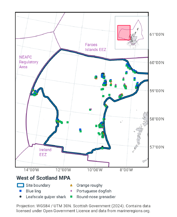 Map of West of Scotland MPA showing the distribution of protected mobile species. Blue ling are most present in the northeast, but also exist in the south. Leafscale gulper shark can be found in the east and northeast. Orange Roughy are present throughout the south, southwest, and east, Portuguese dogfish can be found in the northeast, and round-nose grenadier can be found in the southwest, south, and throughout the east and northeast.