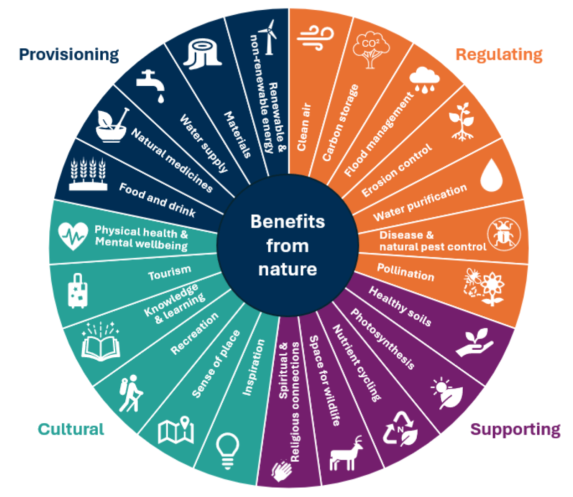 A circular diagram divided into four categories to summarise terrestrial ecosystem services. These are provisioning, regulating, supporting and cultural. Each category lists its ecosystem services.