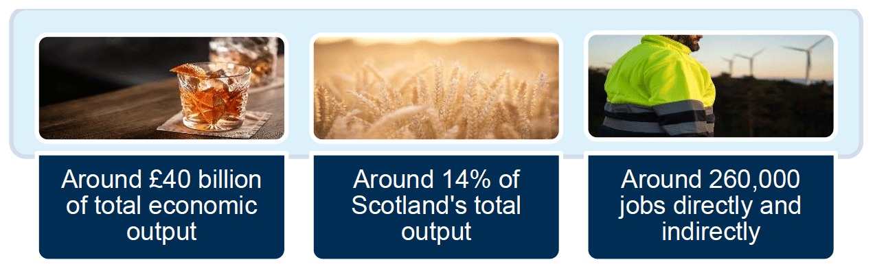 A graphic with three text boxes to summarise economic output and jobs support by natural capital. They state: around £40 billion total economic output, around 14% of Scotland's total output, and around 260,000 jobs directly and indirectly.