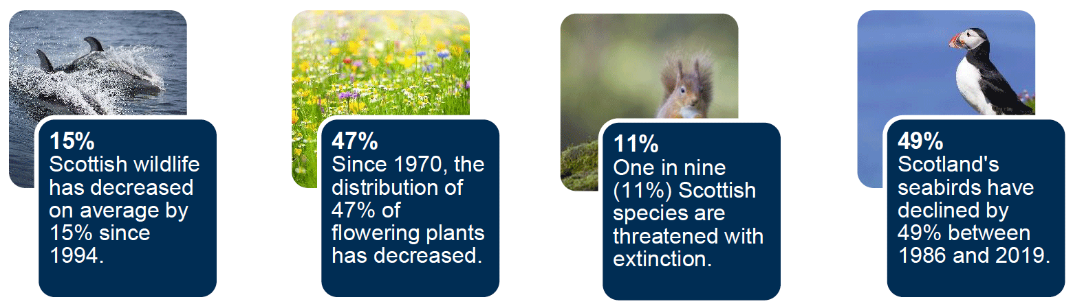 Four text boxes summarising key findings from State of Nature Scotland report with associated decorative pictures.