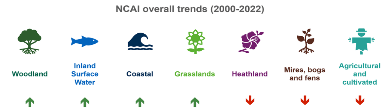 NCAI trends for 2000-2022 summarised with arrows either pointing up or down depending on trend. Showing an increase in results for woodland, inland surface water, coastal, grasslands and downward trend in heathland, mires bogs and fens, and agricultural.