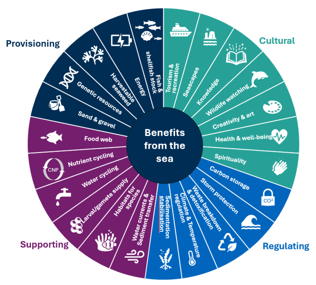 Circular diagram divided into four colour-coded categories representing different types of ecosystem services provided by marine environments. 