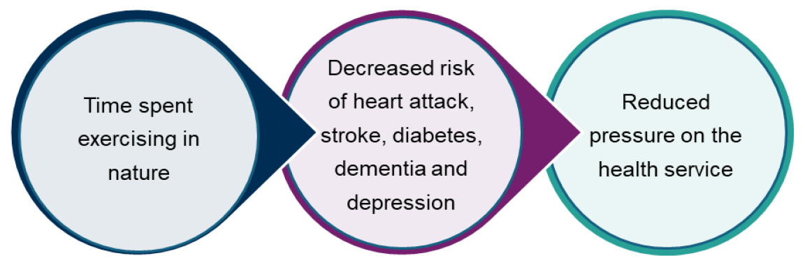 Figure shows the benefits of exercise in nature- decreased risk of heart attack, stroke, diabetes, dementia and depression resulting in less pressure on the health service. This is represented by three circles including this text that is connected by sequential arrows to the right.