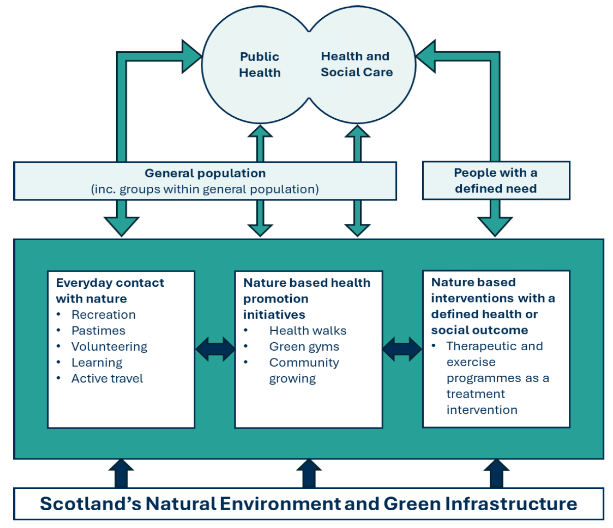 Flowchart showing how Scotland’s natural environment and green infrastructure support public health and social care through three pathways—everyday contact with nature, nature-based health promotion, and nature-based interventions—benefiting both the general population and people with defined needs. This finally feeds into public health and health & social care.