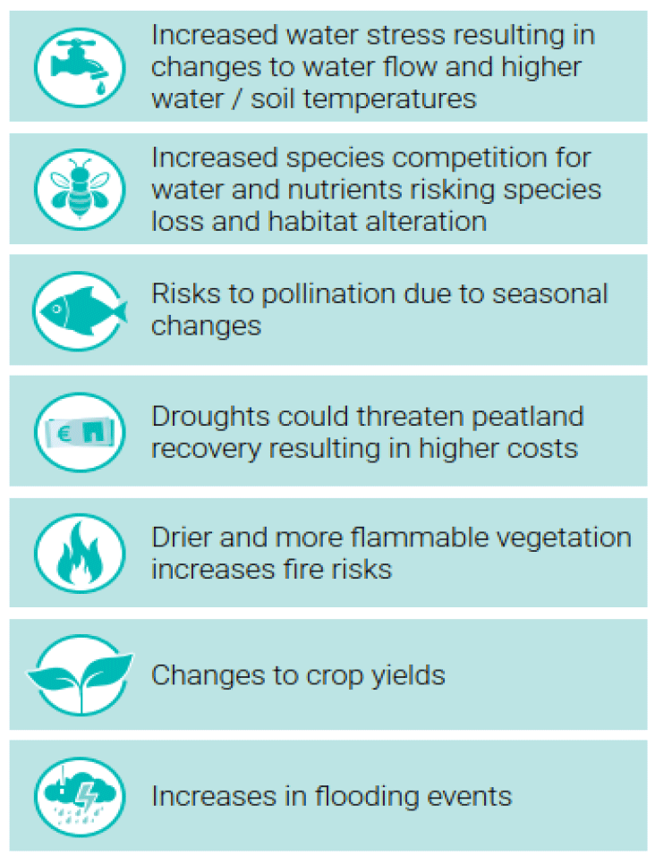 Graphic listing seven environmental impacts of climate change with icons.