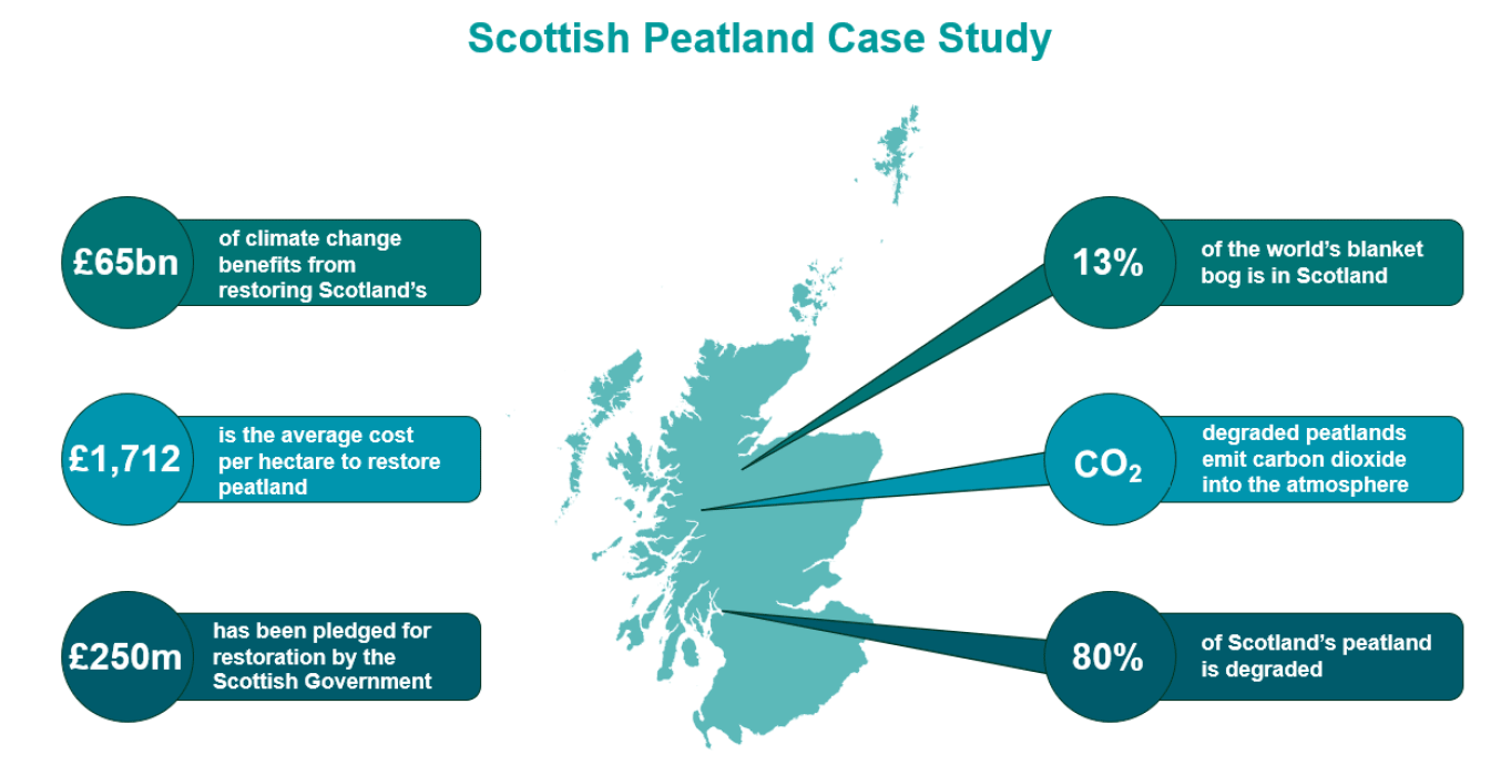 Infographic featuring a map of Scotland and key statistics: £65bn in climate change benefits from restoration, £1,712 average cost per hectare, £250m pledged by the Scottish Government. There are call outs from the map stating 13% of global blanket bog located in Scotland, 80% of Scotland’s peatland is degraded, and degraded peatlands emit CO₂
