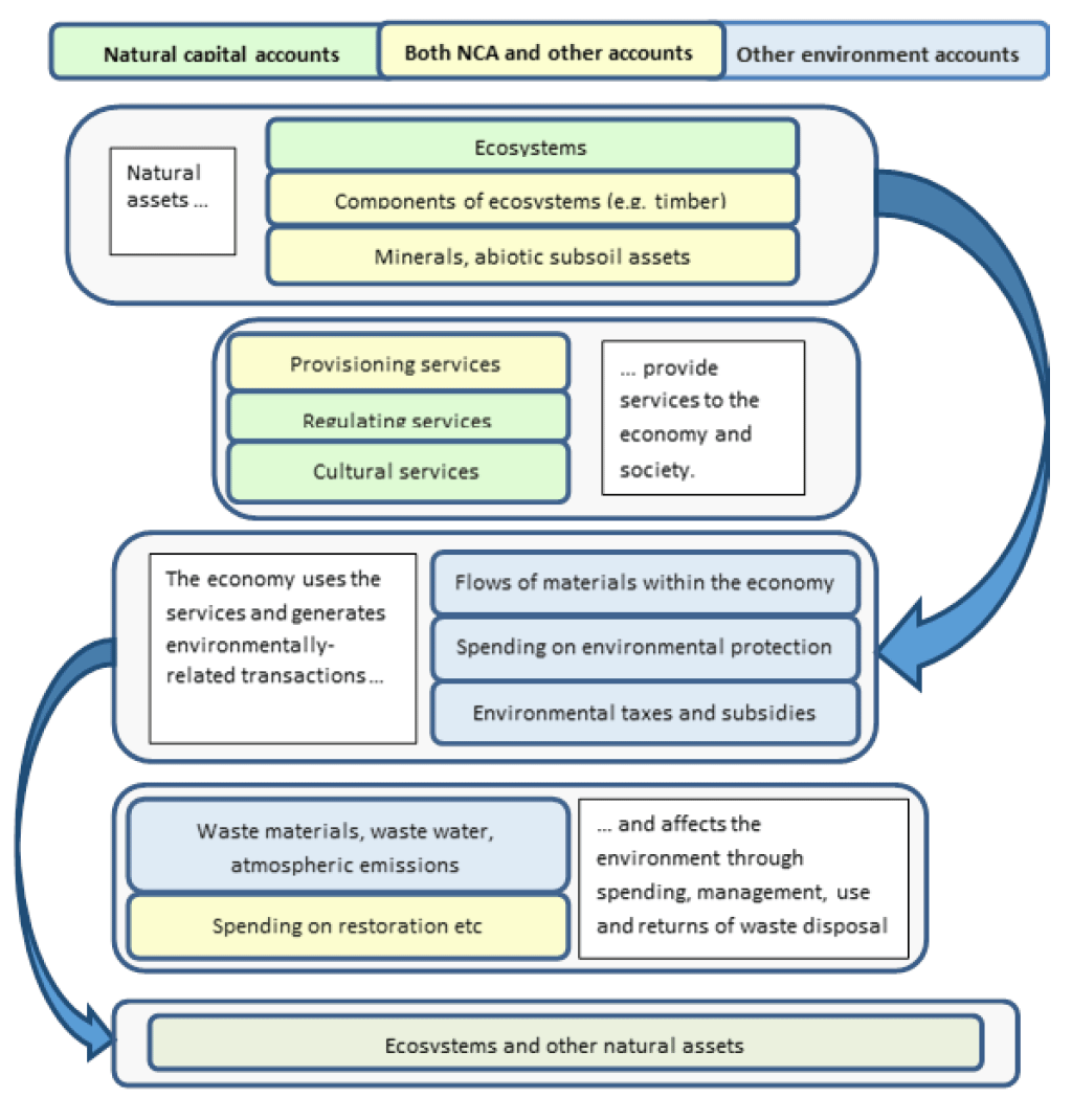 Flowchart showing environmental accounting and oil and gas
