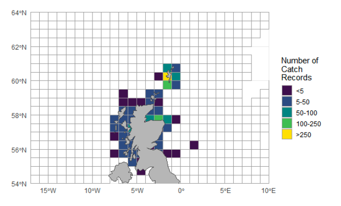 A map of catch records made by the non-sector 10 metre and under Scottish registered fleet in 2023. Records are displayed in ICES statistical rectangles.
The area with the highest number of catch records is around Shetland. 