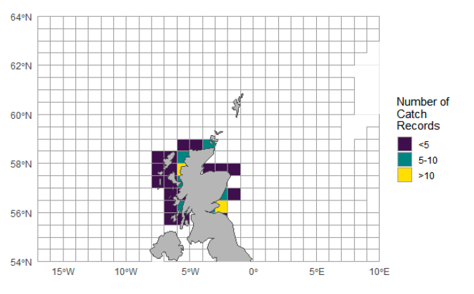 A map of catch records made by the over 10 metre non-sector Scottish registered fleet in 2023. Records are displayed in ICES statistical rectangles. The areas with the highest number of catch records are the Firth of Forth and northwest Scotland.